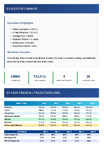 Financial Dashboard Preview